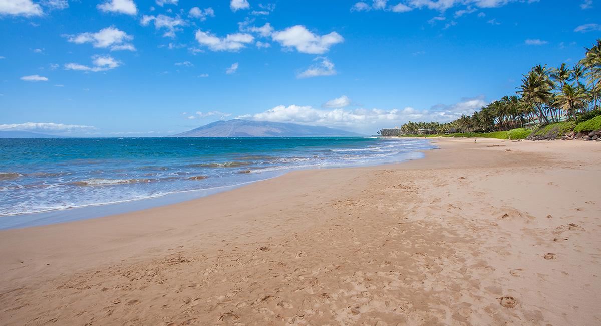 Project in Maalaea Bay to Address Coastal Erosion | MREA