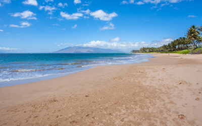 Tourism Rebounding, Maui Improvements in State Budget, and More
