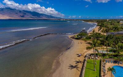 Visitor, Weather, and Unemployment Changes Affecting Maui