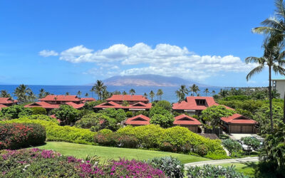 Maui Economy Slows Down for Home Sales but Shows Recovery in Other Areas