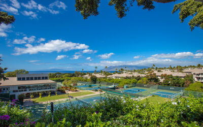 Developments Across Maui Tourism and Real Estate Industries