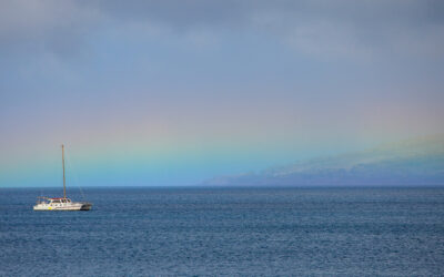 Maui County and Non-Profit Orgs. Provide Housing Relief