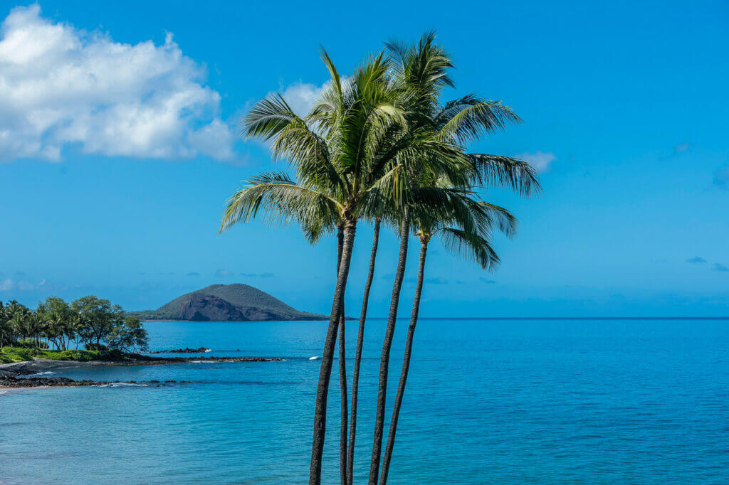 2024 Real Estate Trends That Matter to Maui Homeowners