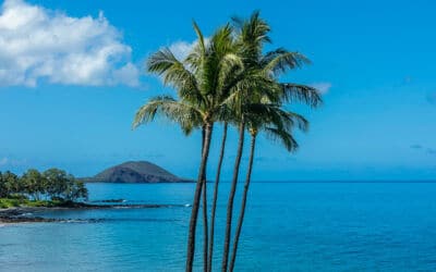 2024 Real Estate Trends That Matter to Maui Homeowners