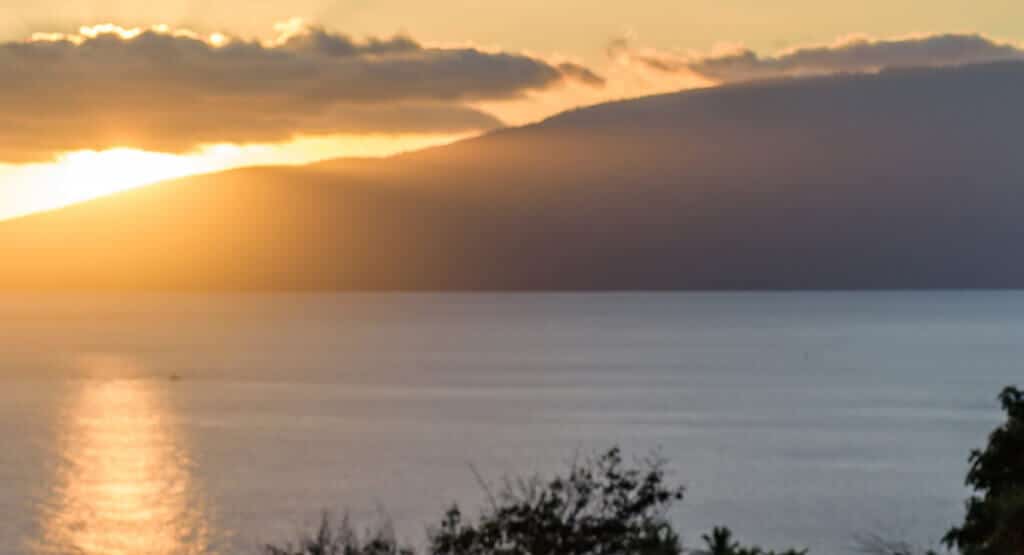 Maui Real Estate Trends November Recap and 2025 Predictions