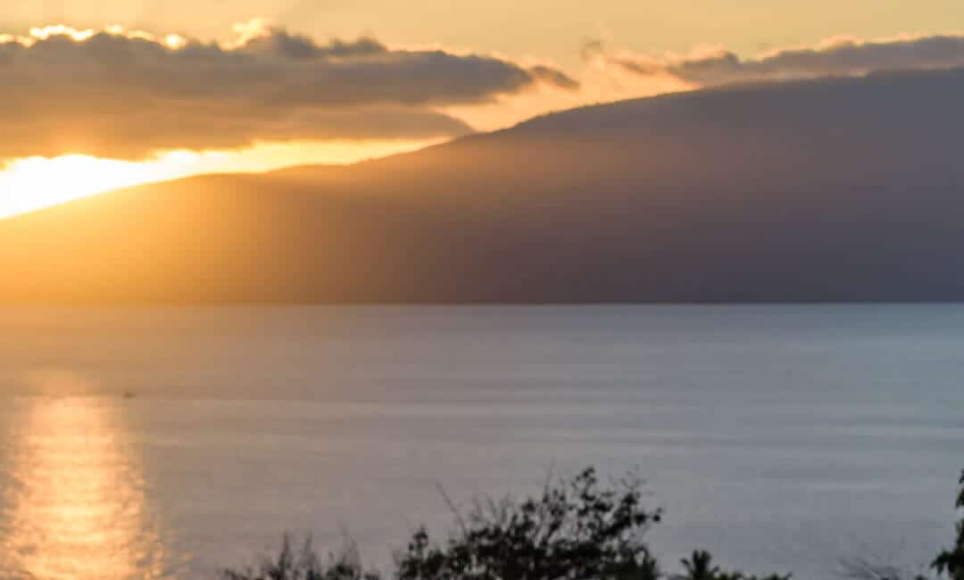 Maui Real Estate Trends: November Recap & 2025 Predictions