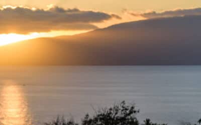 Maui Real Estate Trends: November Recap & 2025 Predictions