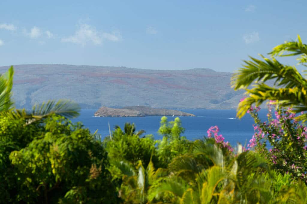 Maui Real Estate Trends: December Recap & Insights for 2025