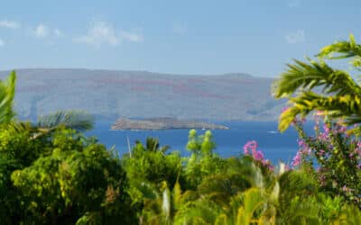 Maui Real Estate Trends: December Recap & Insights for 2025