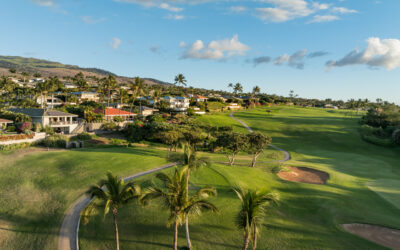 Maui Housing Market Update: New January 2025 Data Reveals Major Changes for Buyers & Sellers