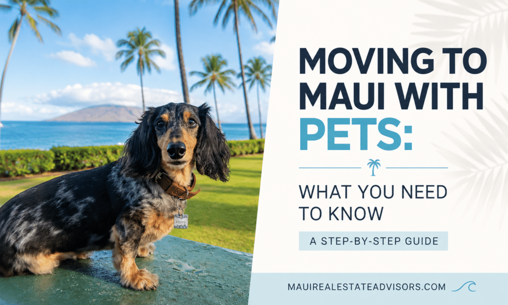 Moving to Maui With Pets Step by Step Guide from a Pet Friendly Maui Realtor