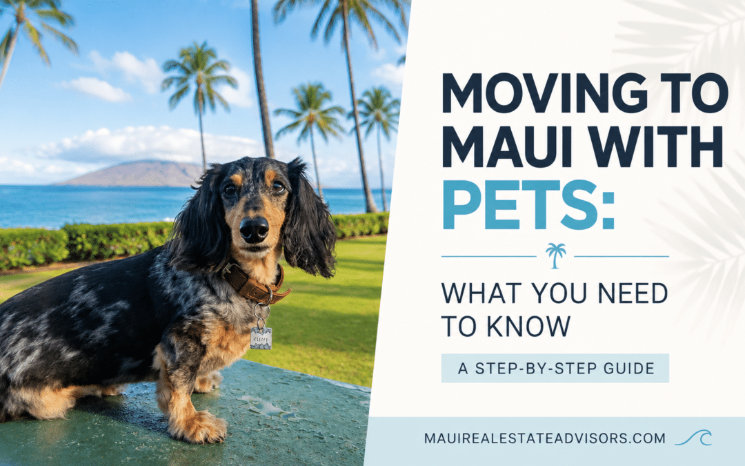 Moving to Maui with Pets: What You Need to Know