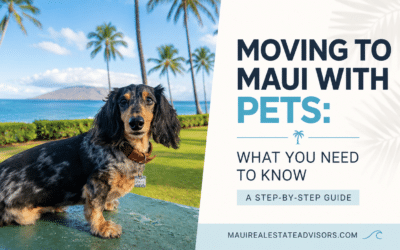 Moving to Maui with Pets: What You Need to Know